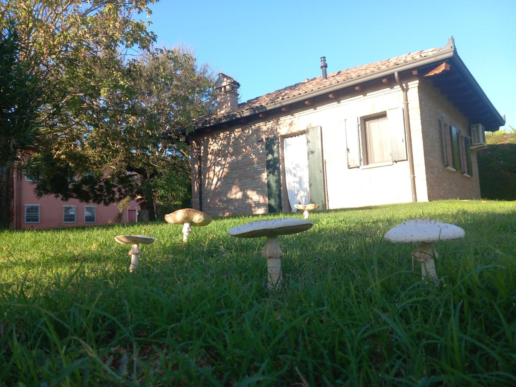 Agriturismo Fondo Novelle La Casina Ferrara Buitenkant foto